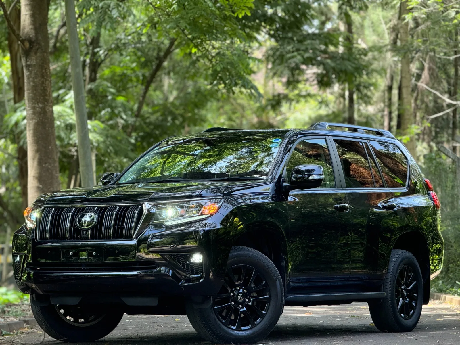 Toyota Land Cruiser Prado · photo