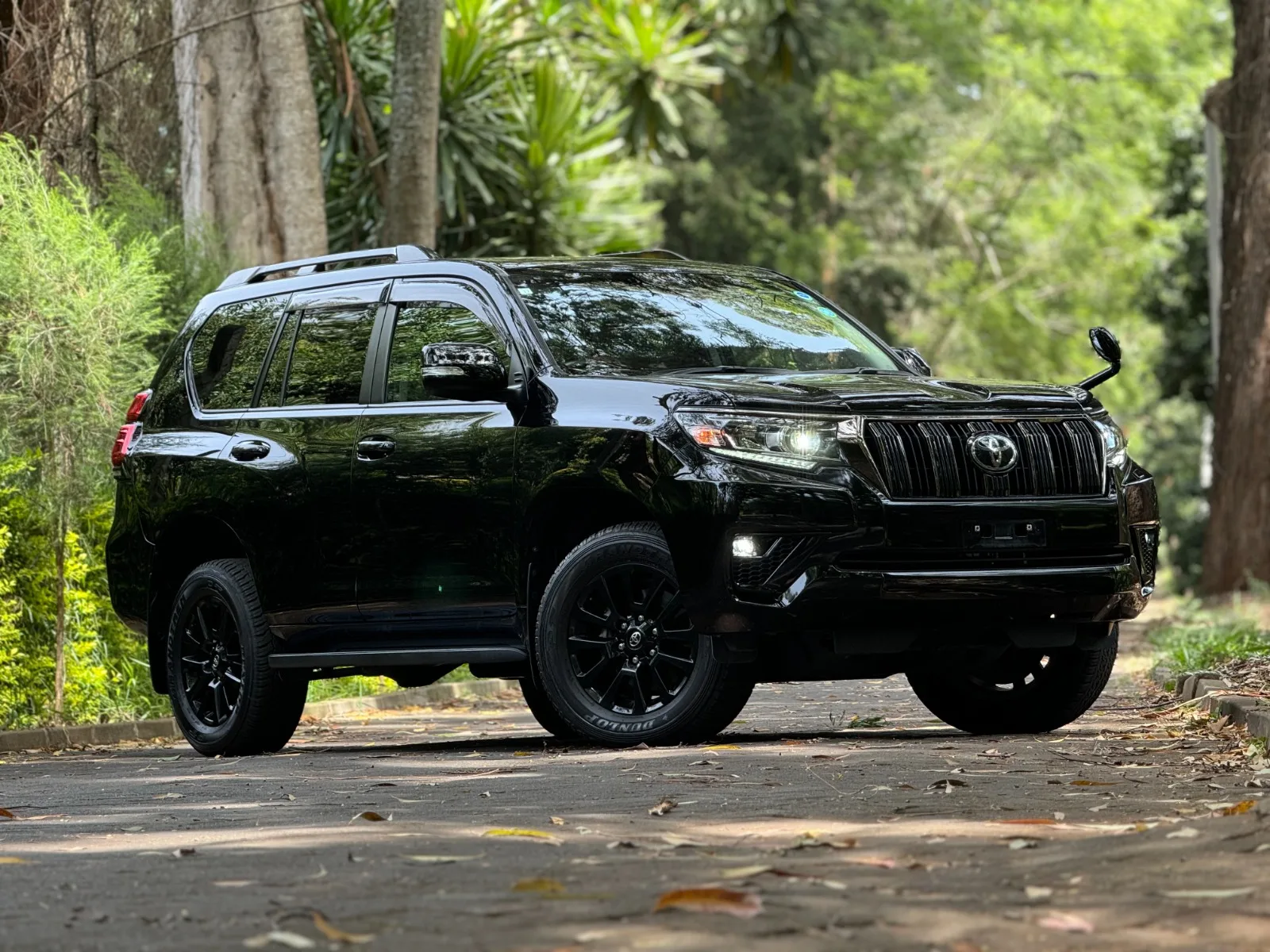 Toyota Land Cruiser Prado · photo