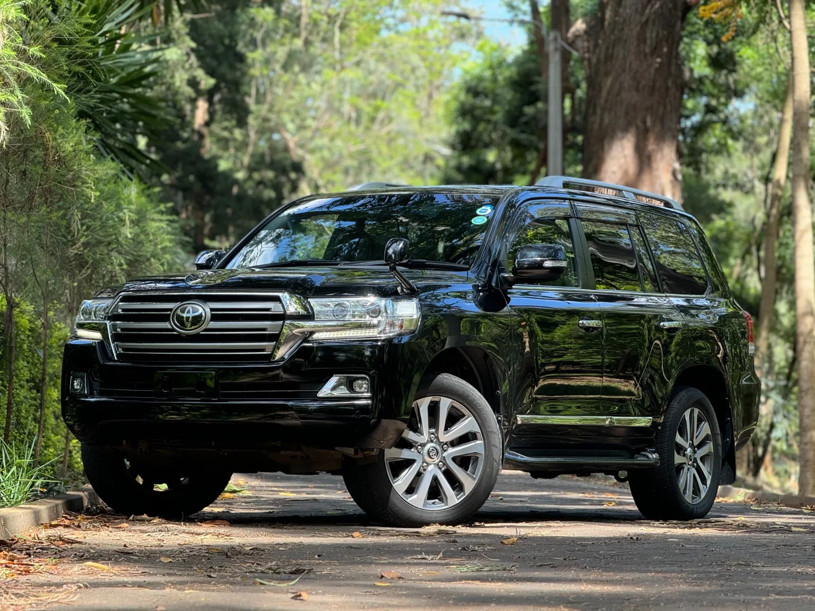 Toyota Land Cruiser · photo