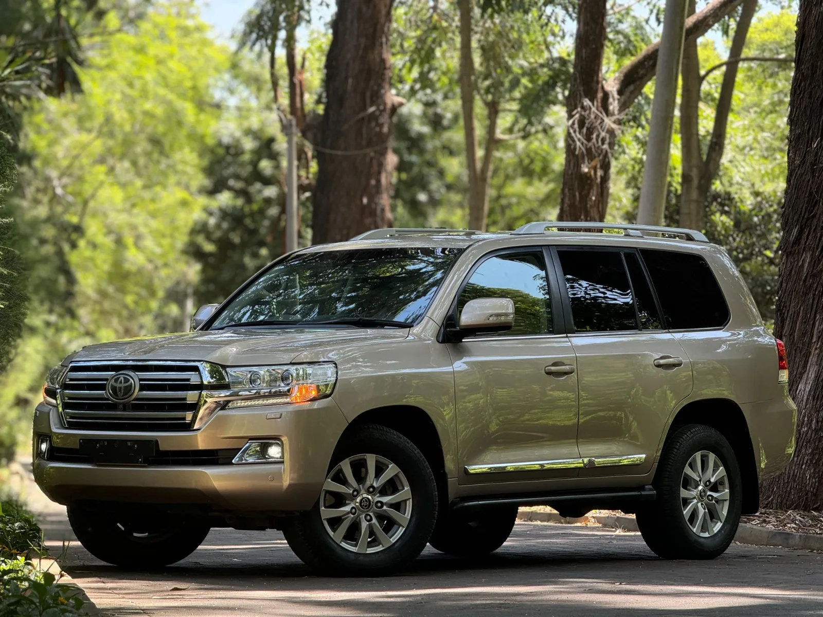 Toyota Land Cruiser · photo